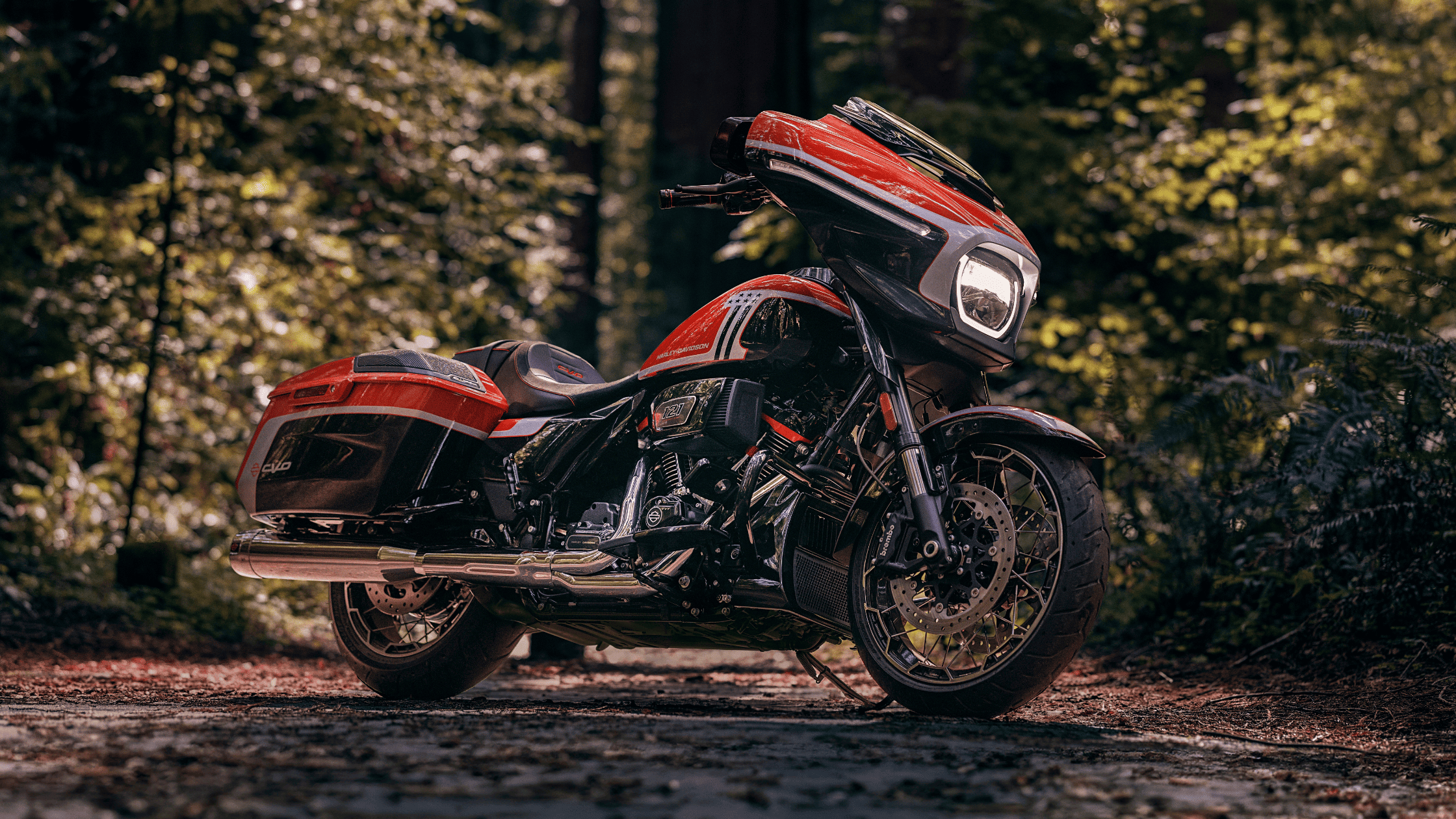 A red and black 2024 Harley-Davidson® CVO™ Street Glide® motorcycle parked on a scenic road