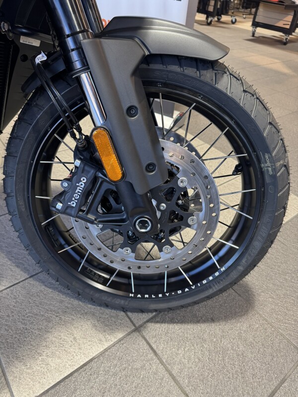 RA1250S 2024 Pan America 1250 Special - Photo 8