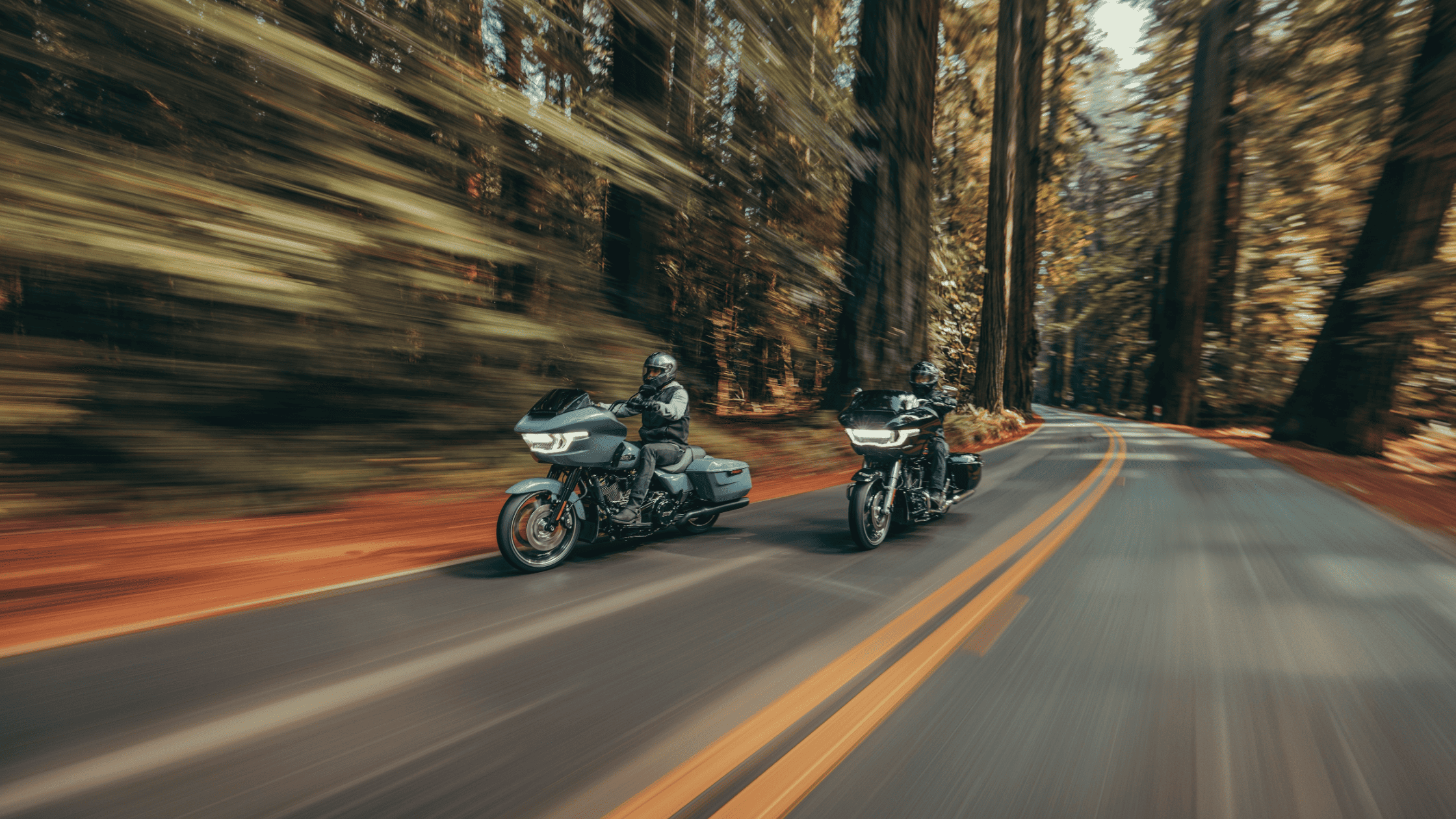 Two 2024 Harley-Davidson® Road Glide® motorcycles cruising along a scenic road through a lush forest