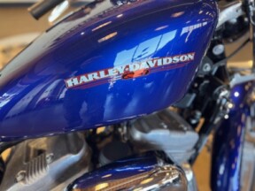 2006 Harley Davidson XL883L  thumb 3