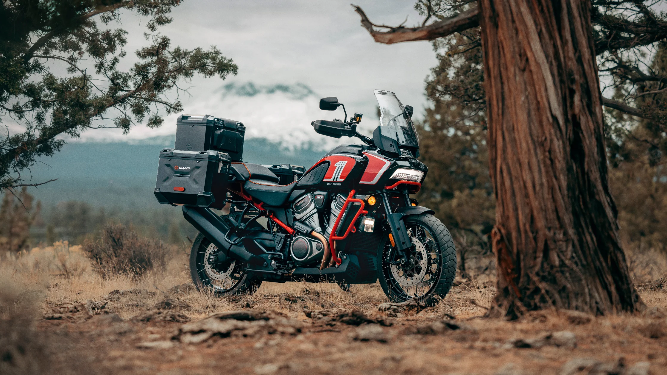 2024 Harley-Davidson CVO™ Pan America® adventure motorcycle in nature.