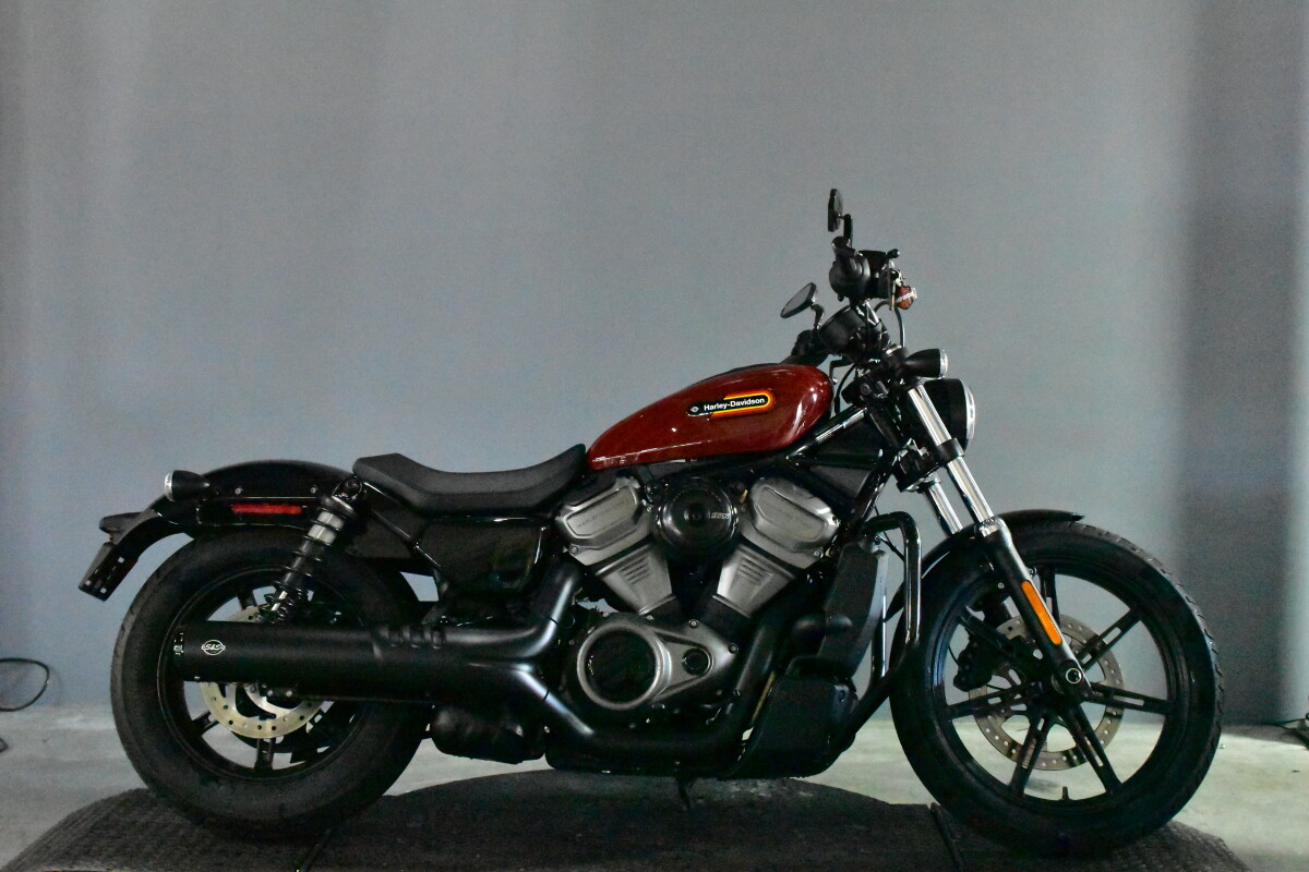 2024 Harley-Davidson® Nightster™ RH975 | Alligator Alley Harley