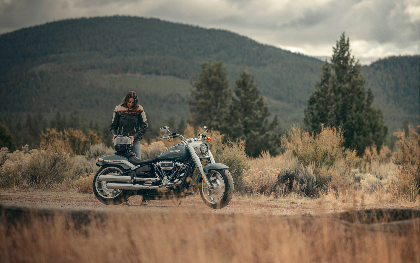 Harley-Davidson motorcycles, the perfect ride for Lac La Biche riders.
