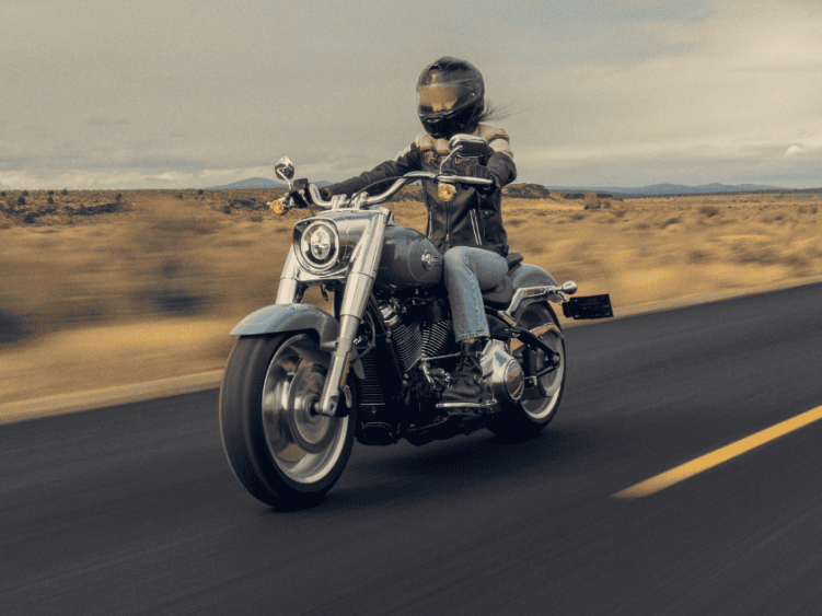 Harley-Davidson motorcycles on the open road.