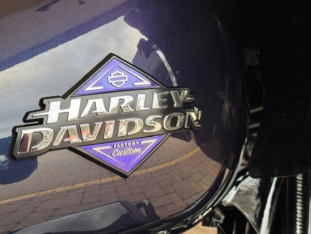 2025 Harley Davidson Road Glide FLTRX - Photo 2