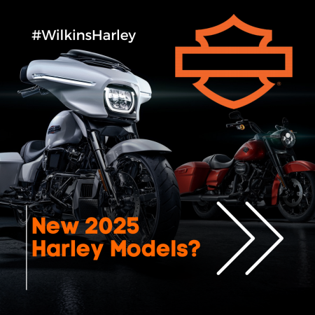 2025 Harley-Davidson® Motorcycles: New Models and Custom Paint Options