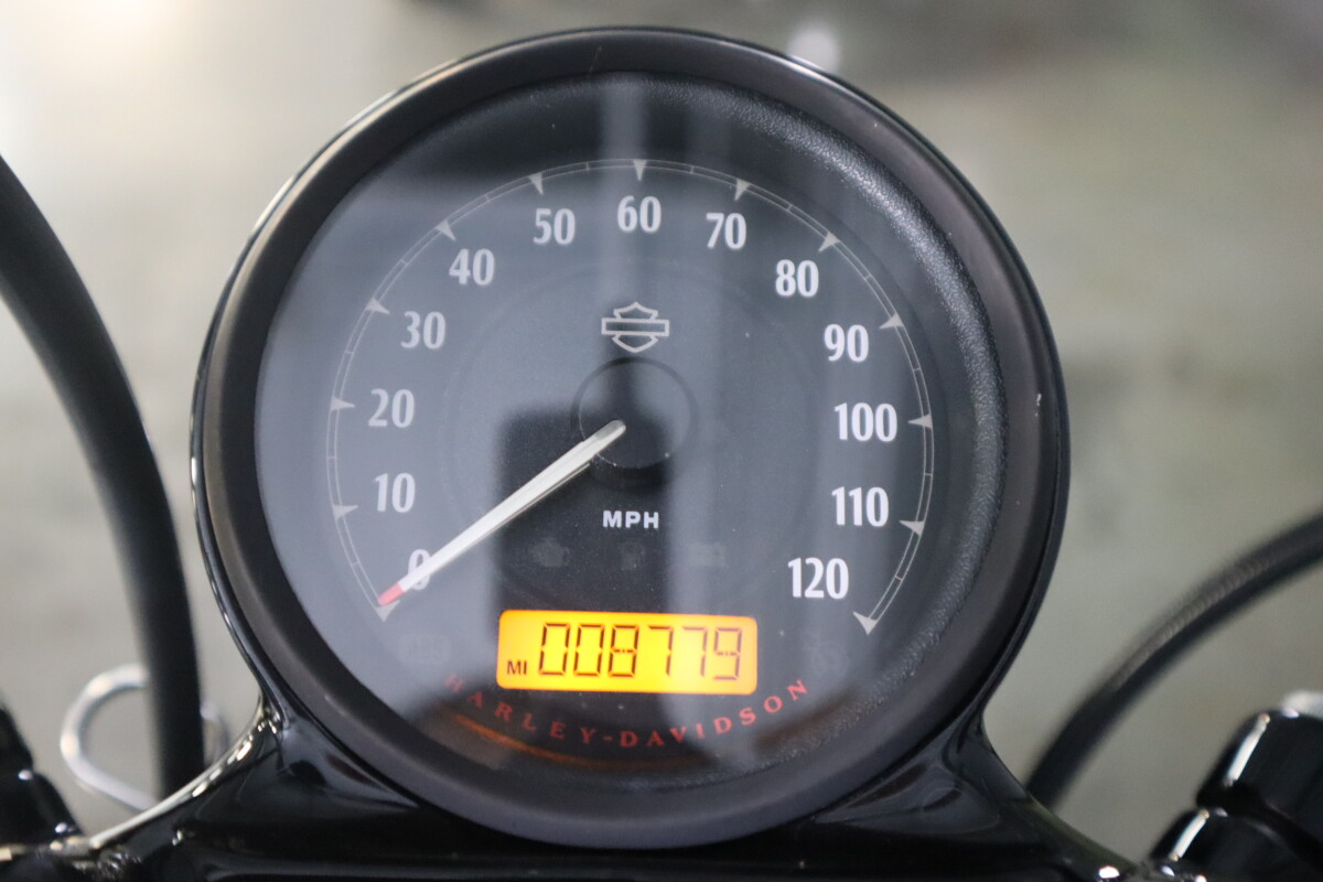 2018 Harley-Davidson Forty-Eight Special XL 1200XS - Photo 10