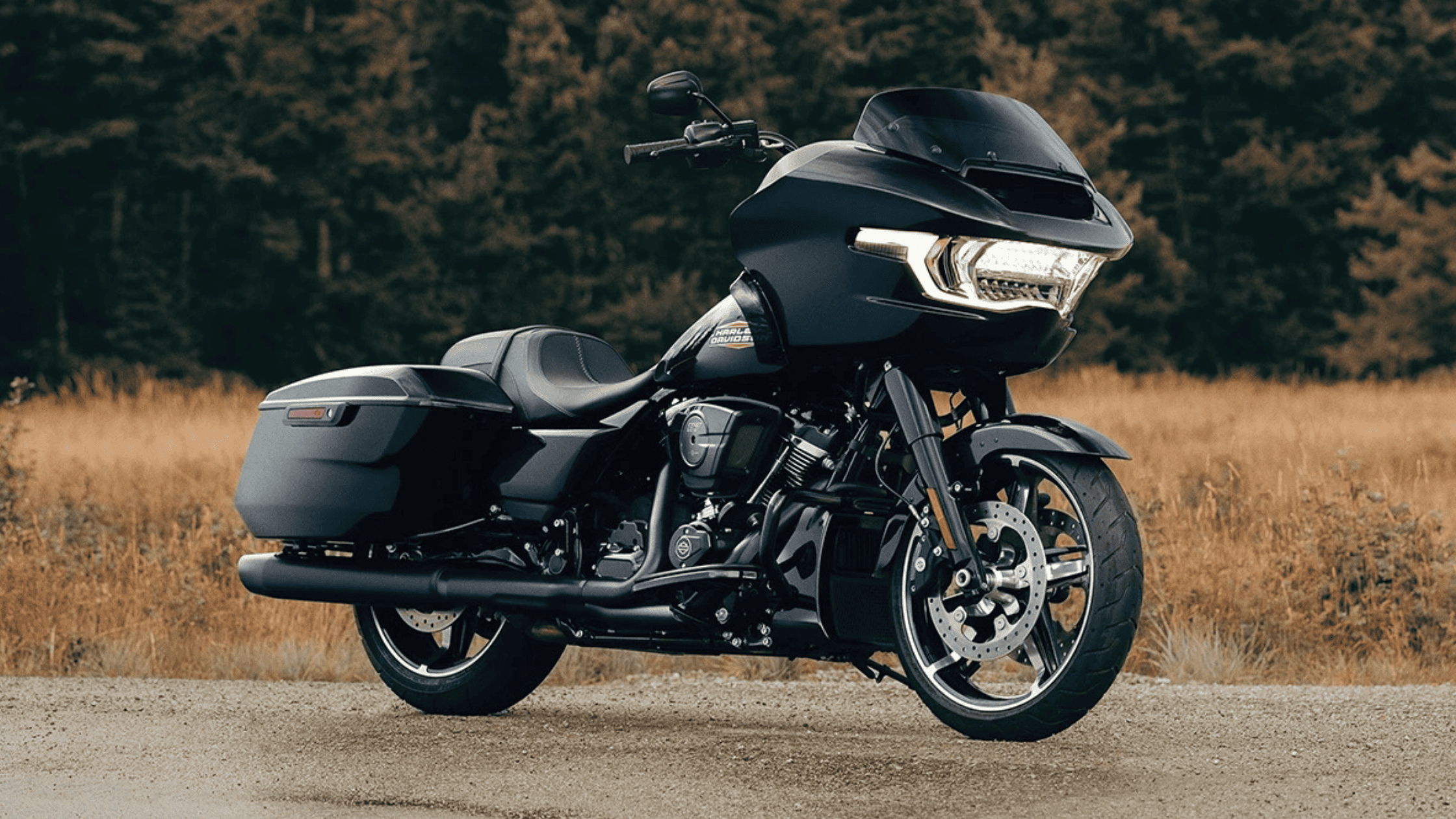 A sleek black 2025 Harley-Davidson® Road Glide® parked on a rural path, set against a wooded backdrop