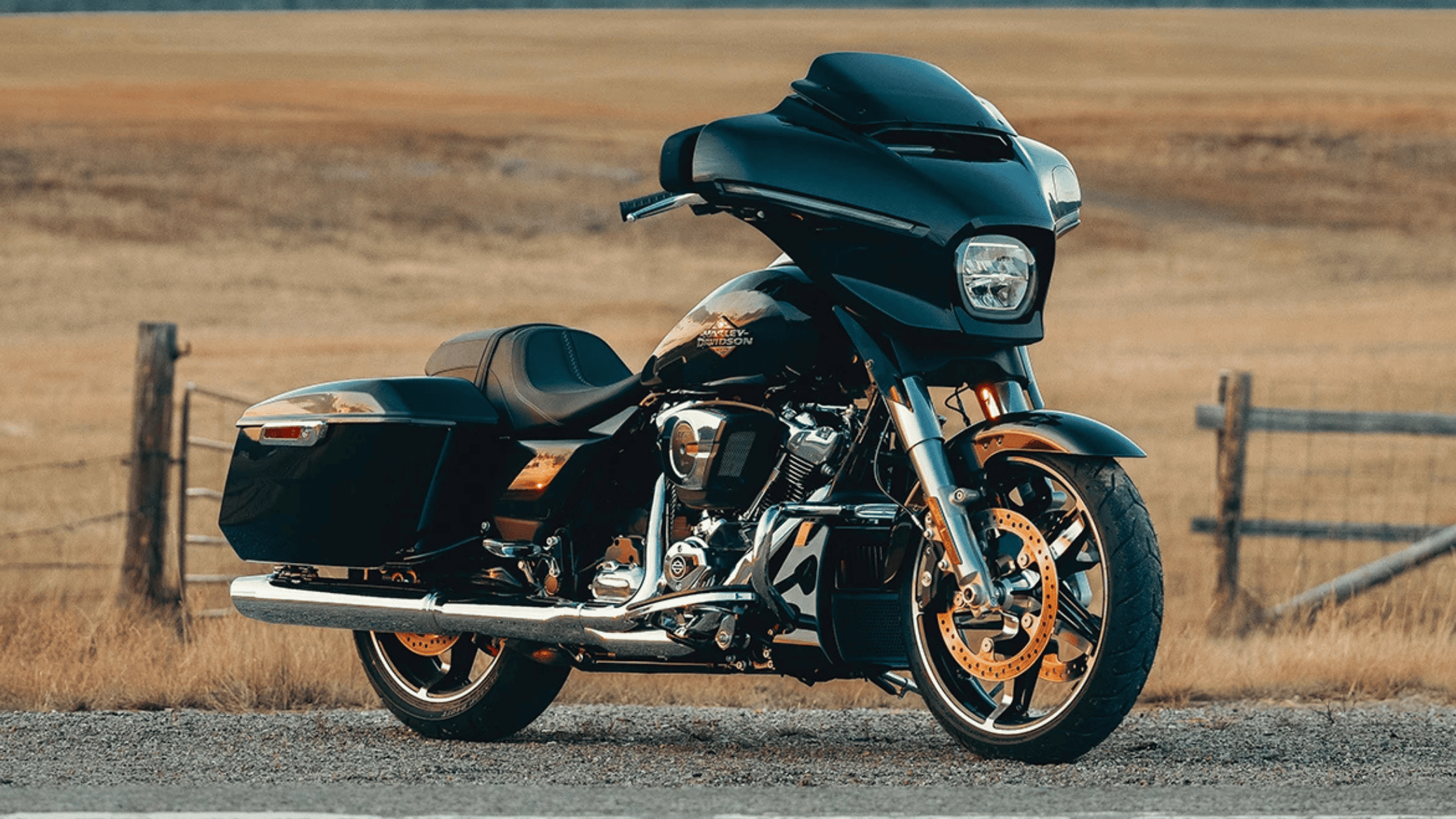 2025 Harley-Davidson® Street Glide®