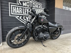 Harley-Davidson XL883 (2019) thumb 3