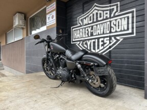 Harley-Davidson XL883 (2019) thumb 1