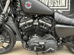 Harley-Davidson XL883 (2019) thumb 0