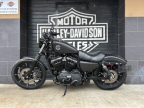 Harley-Davidson XL883 (2019) thumb 2