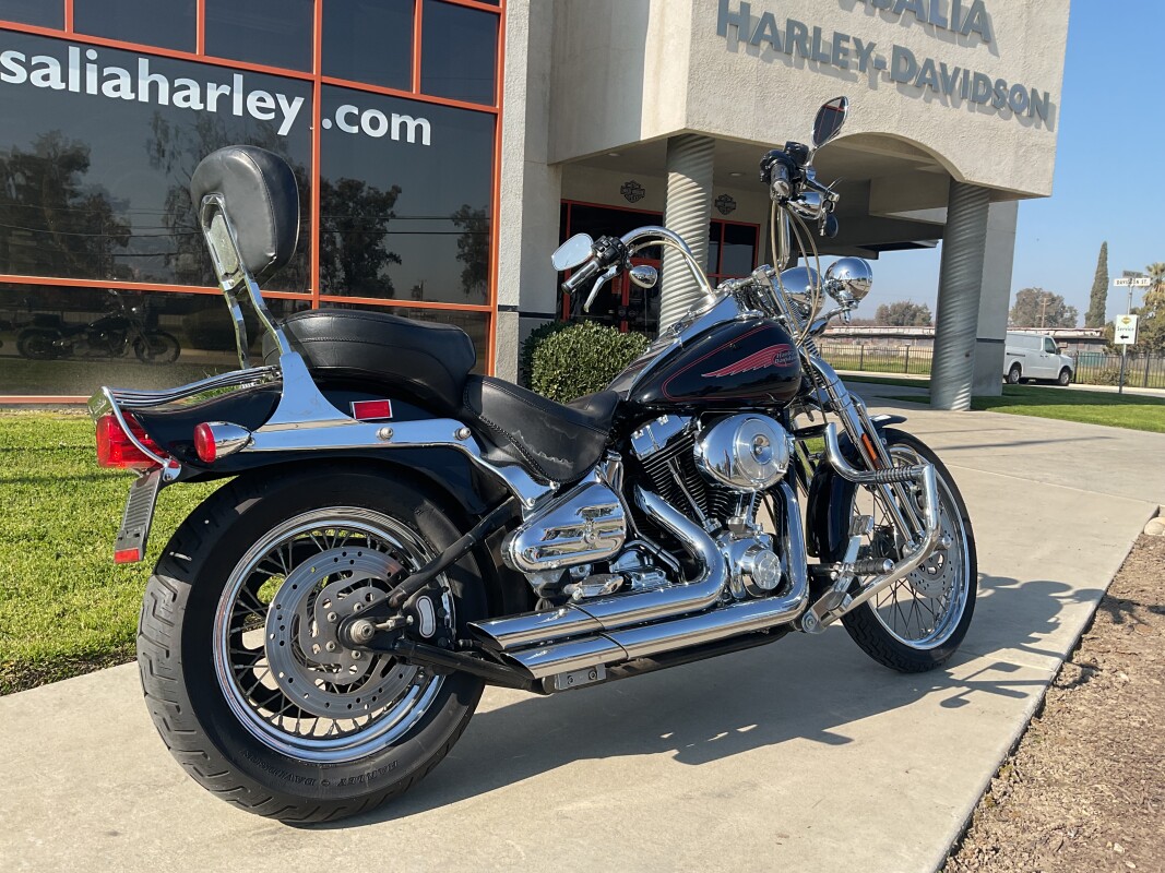 FXSTS 2000 Springer Softail - Photo 3