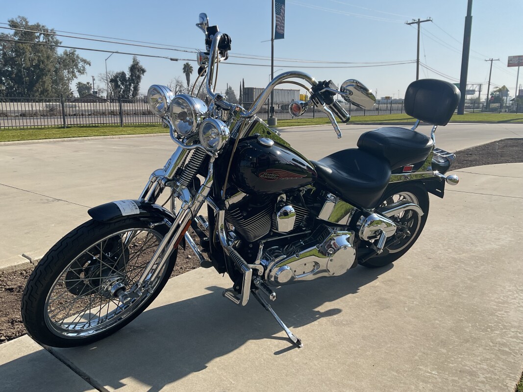 FXSTS 2000 Springer Softail - Photo 6