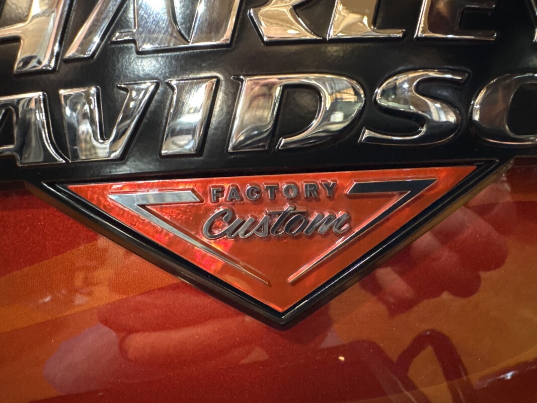 2025 Harley Davidson Road Glide FLTRX - Photo 10