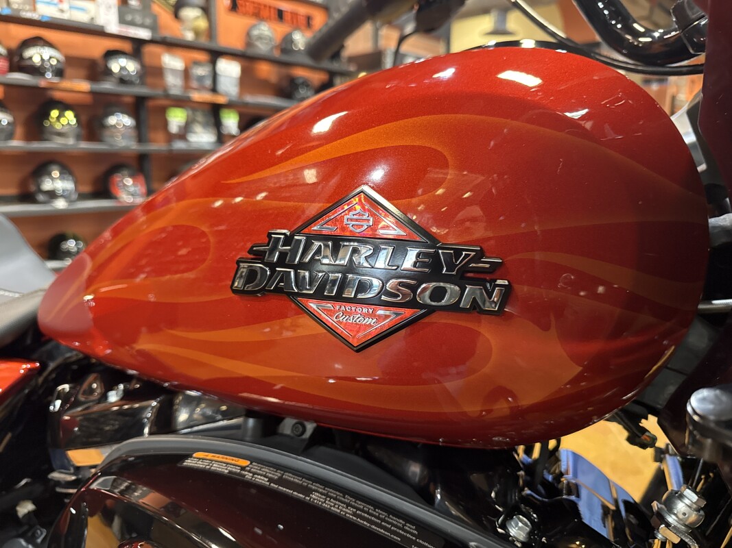 2025 Harley Davidson Road Glide FLTRX - Photo 9