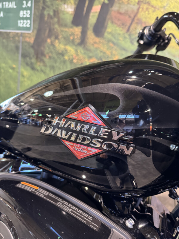 2025 Harley-Davidson Road Glide - Photo 3