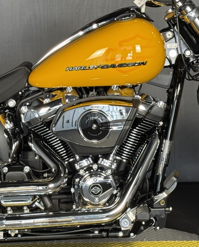 2025 Harley-Davidson Breakout FXBR CENTERLINE - Photo 6
