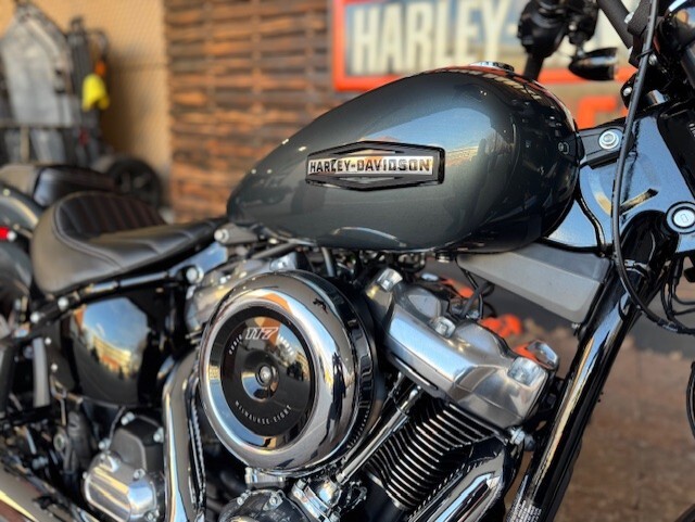 2025 Harley Davidson Street Bob FXBB - Photo 6