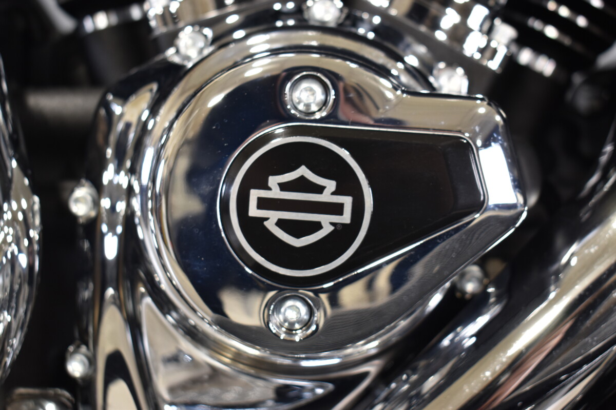 2025 Harley-Davidson Street Glide Ultra FLHXU - Photo 4