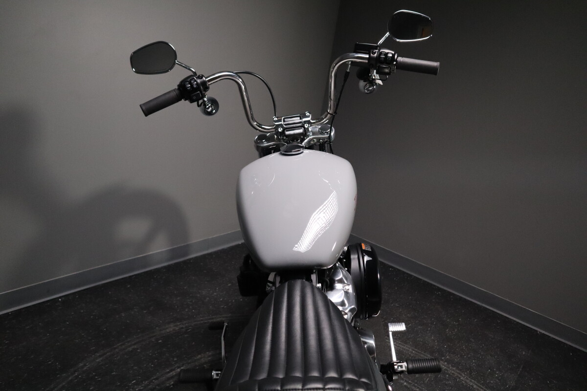 2024 Softail Standard (FXST) - Photo 10