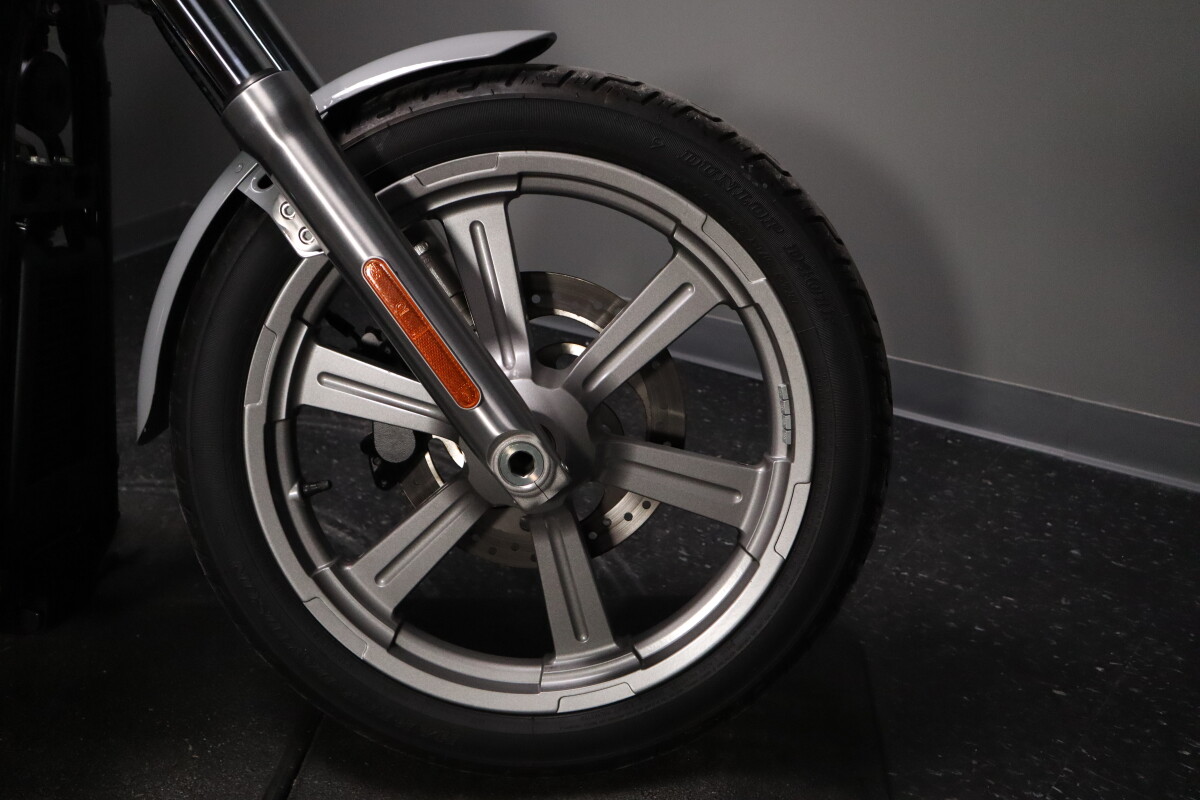 2024 Softail Standard (FXST) - Photo 8