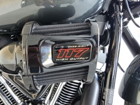 2025 Harley-Davidson<sup>®</sup> Low Rider<sup>®</sup> S thumb 2