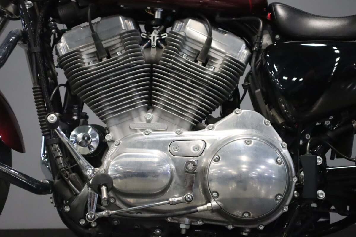 2016 Harley-Davidson Iron 883 XL 883N - Photo 8