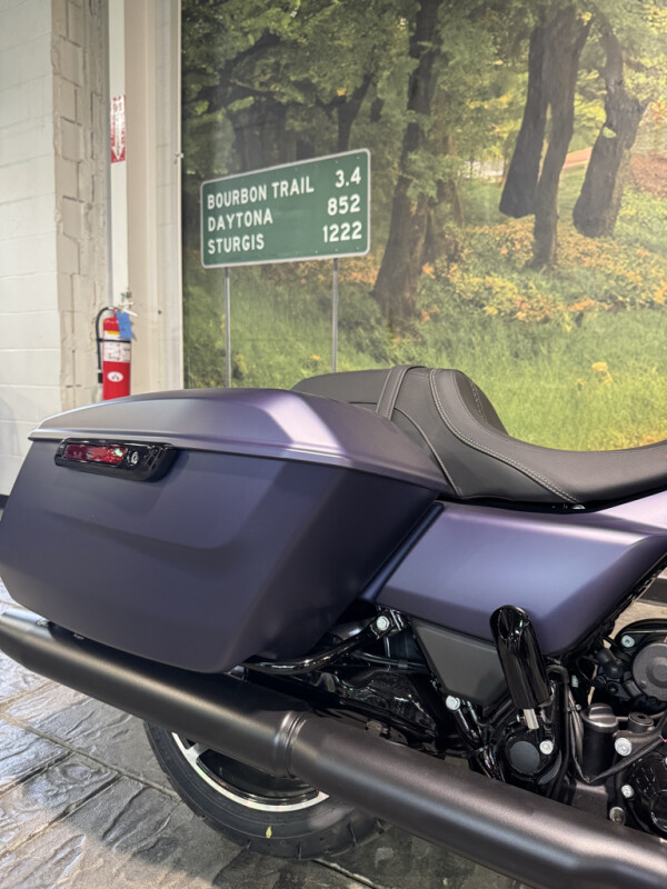 2025 Harley-Davidson Road Glide - Photo 4