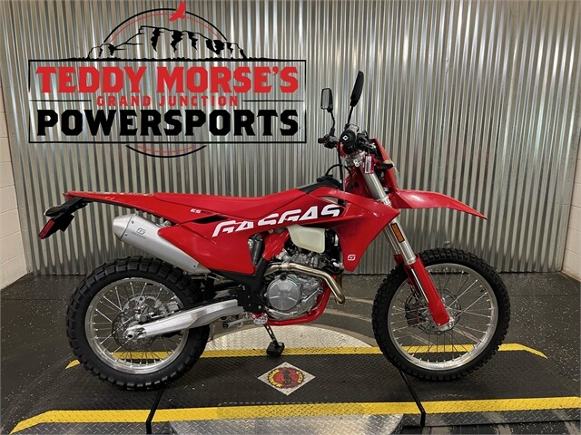 2024 GASGAS ES 500