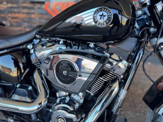 2025 Harley-Davidson Fat Boy FLFB - Photo 5