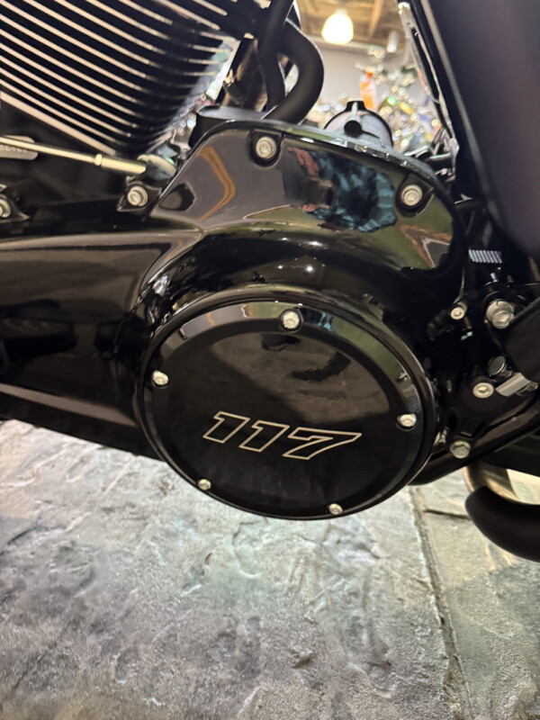 2025 Harley-Davidson Road Glide - Photo 10