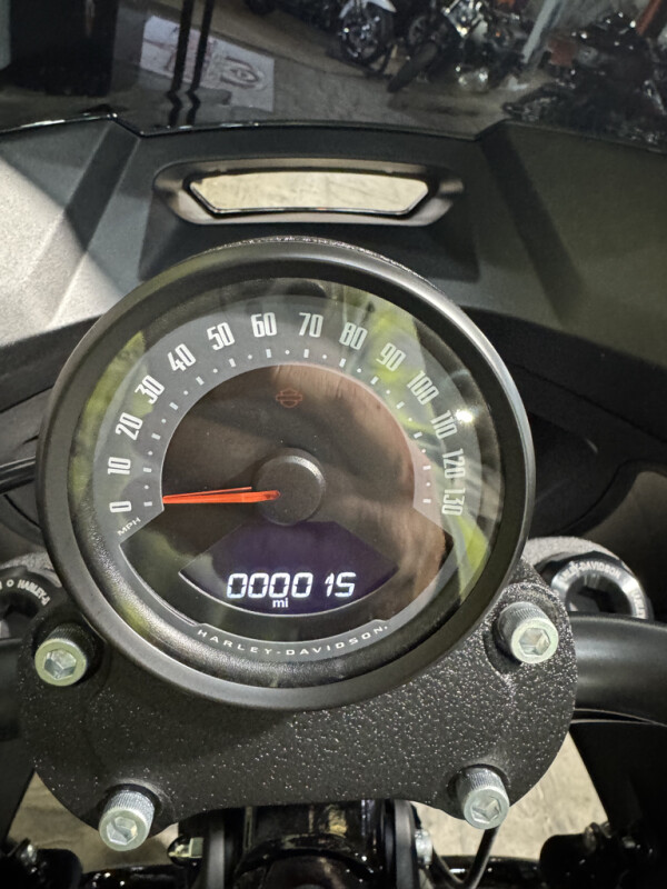2025 Harley-Davidson Low Rider S - Photo 8