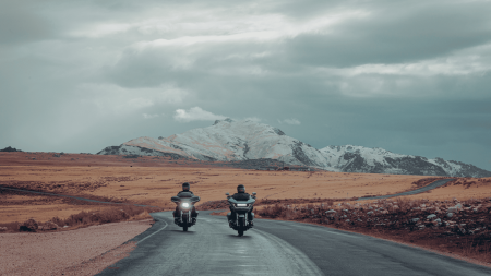 Unveiling the MY2025 Harley-Davidson® Lineup: 5 Top Picks for Wesley Chapel Riders