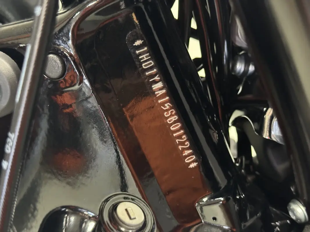 FXLRS 2025 Low Rider S - Photo 9