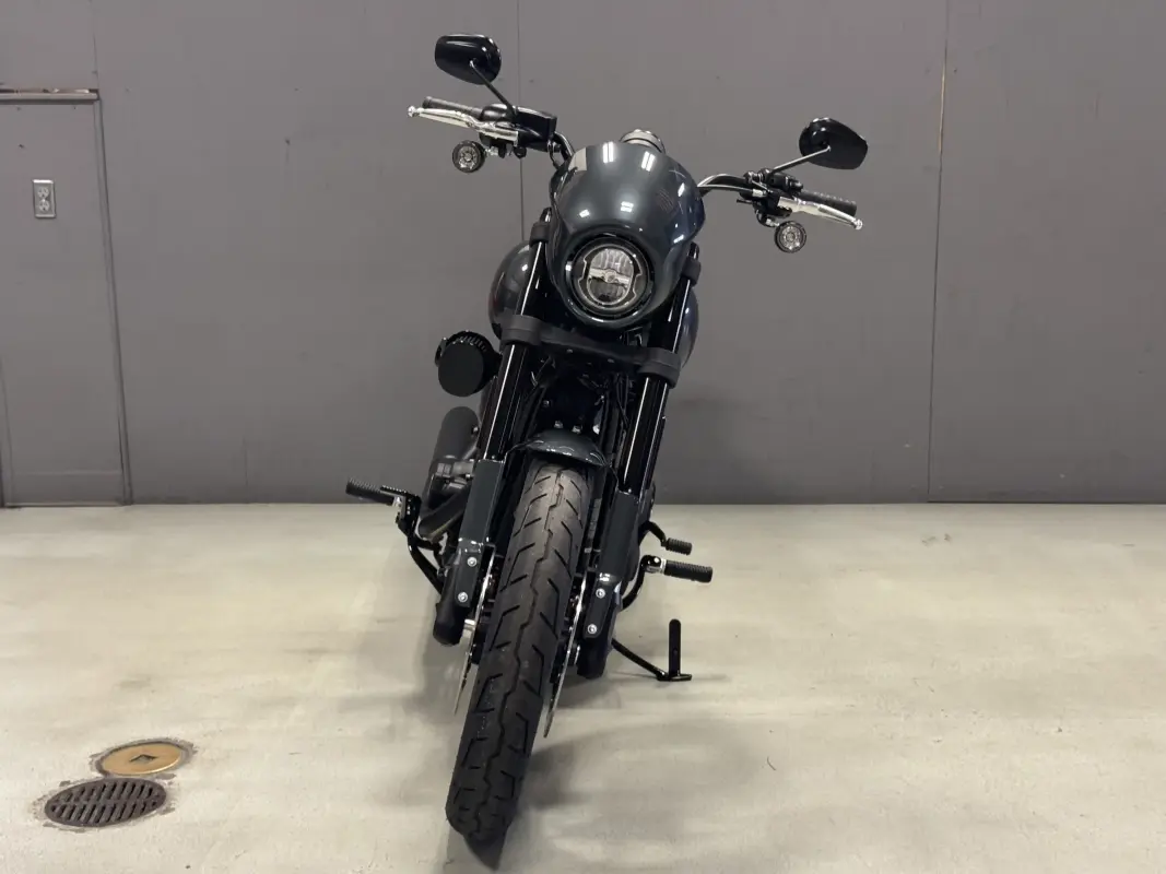 FXLRS 2025 Low Rider S - Photo 7