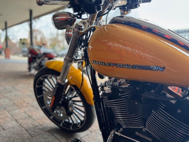 2025 Harley Davidson Breakout FXBR - Photo 4