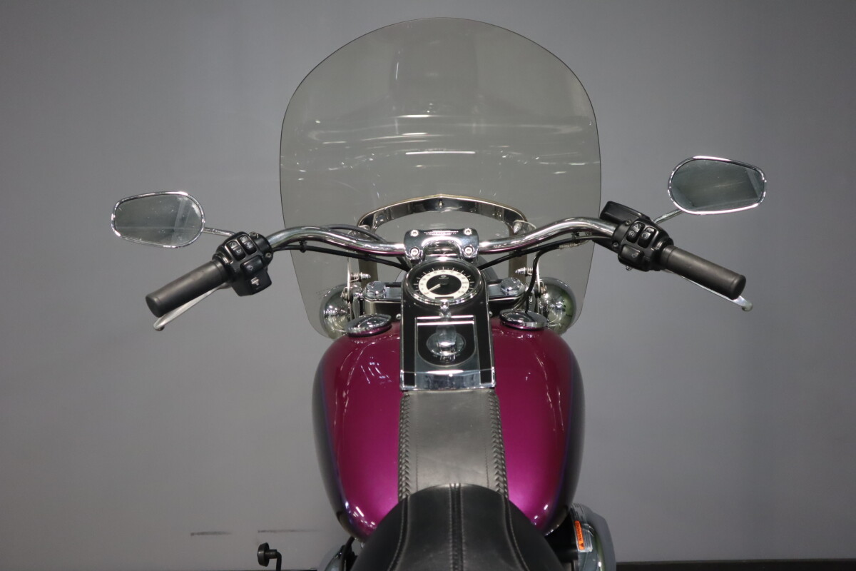 2016 Harley-Davidson Softail Deluxe FLSTN - Photo 10
