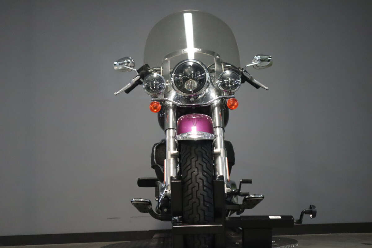 2016 Harley-Davidson Softail Deluxe FLSTN - Photo 3