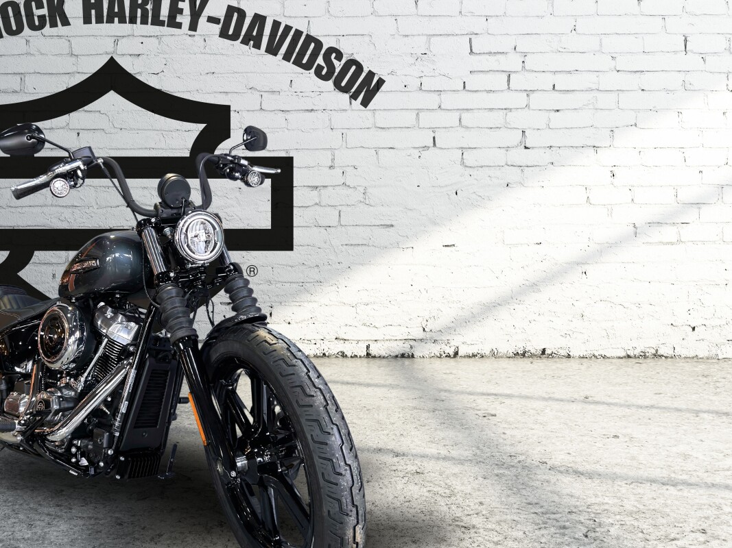 2025 Harley-Davidson Street Bob Iron Horse Metallic - Photo 3