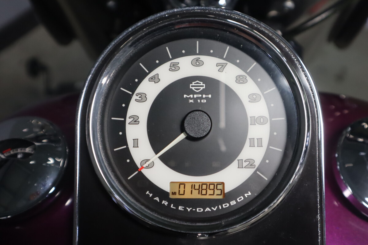 2016 Harley-Davidson Softail Deluxe FLSTN - Photo 9