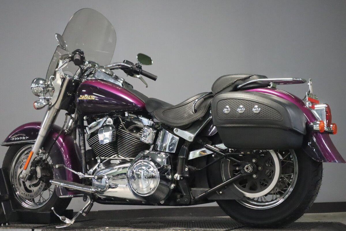 2016 Harley-Davidson Softail Deluxe FLSTN - Photo 6