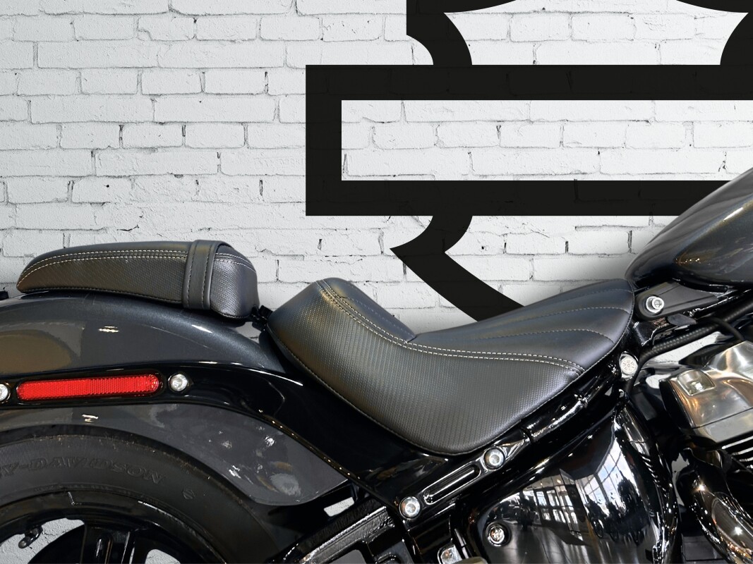 2025 Harley-Davidson Street Bob Iron Horse Metallic - Photo 6