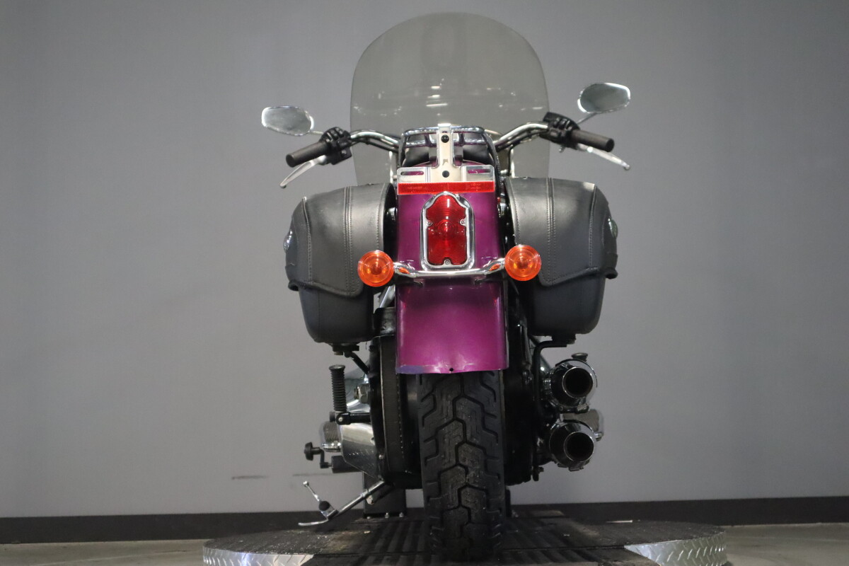 2016 Harley-Davidson Softail Deluxe FLSTN - Photo 7