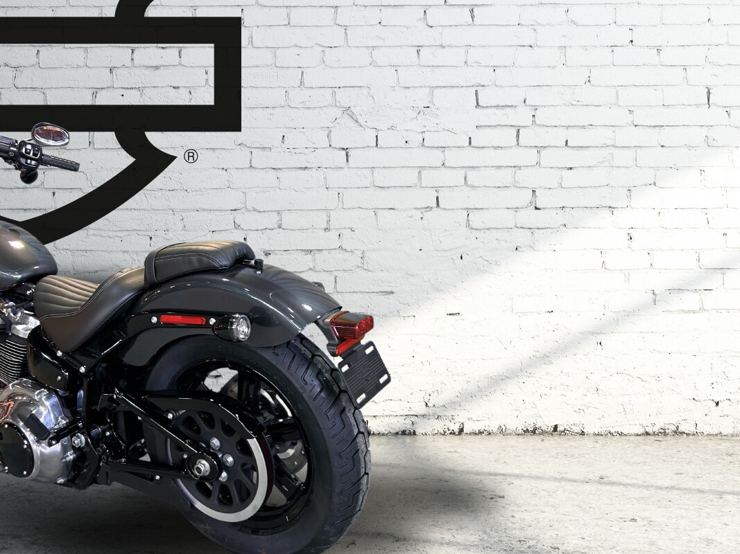 2025 Harley-Davidson Street Bob Iron Horse Metallic - Photo 8