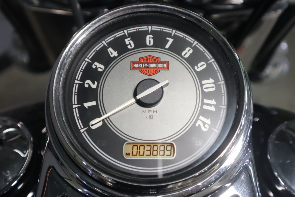 2015 Harley-Davidson Heritage Softail Classic FLSTC - Photo 9