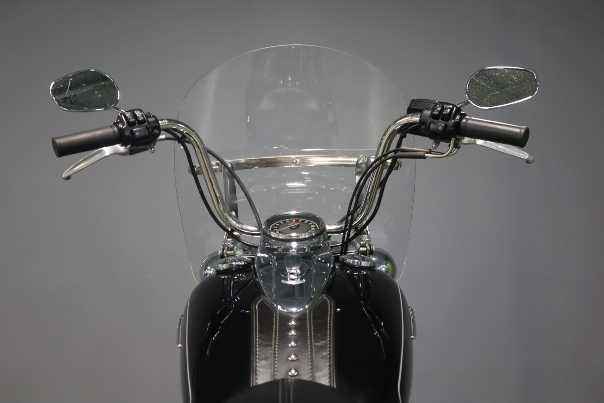 2015 Harley-Davidson Heritage Softail Classic FLSTC - Photo 10