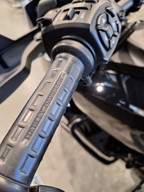 2021 Harley-Davidson Pan America 1250 #N/A - Photo 9