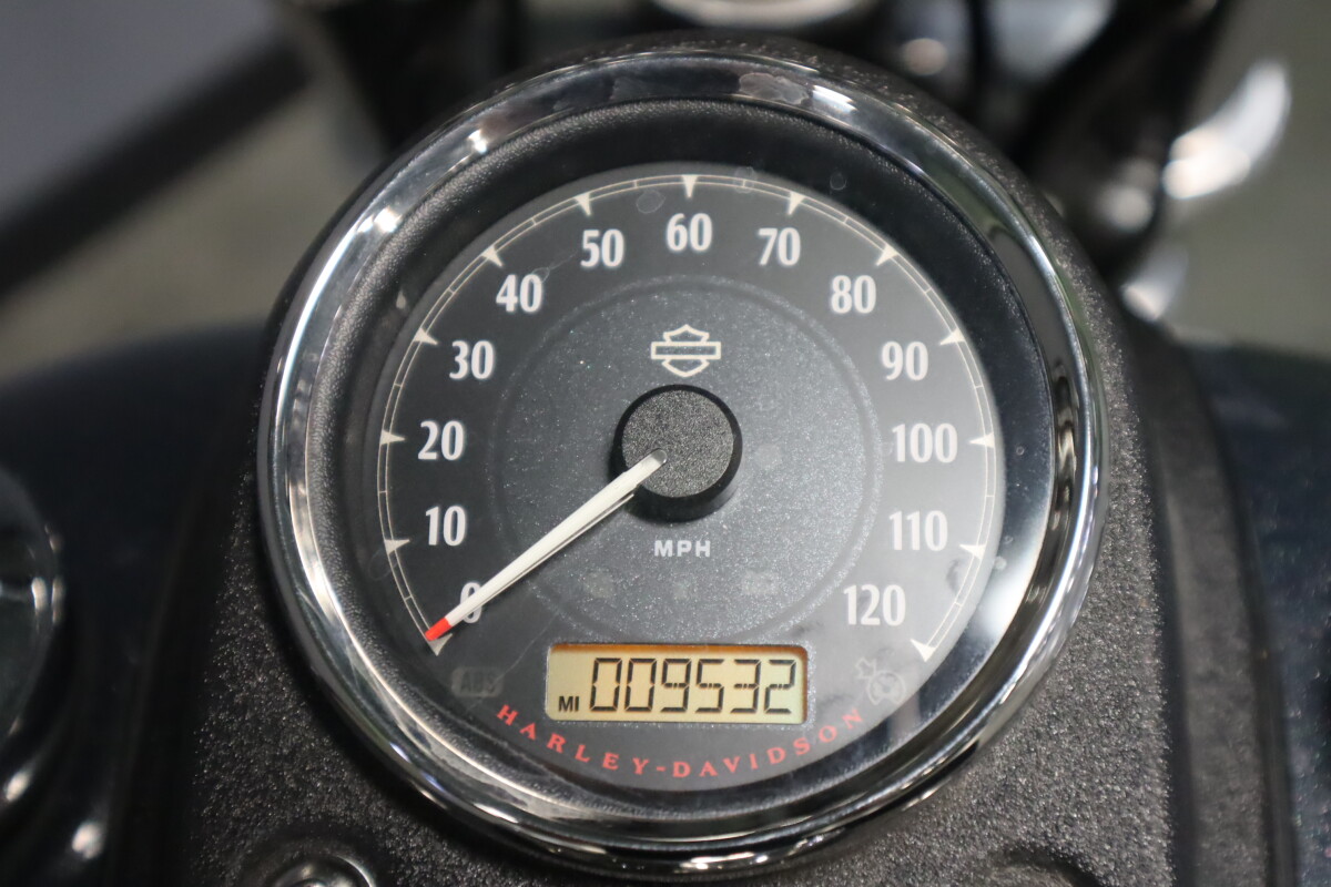2015 Harley-Davidson Low Rider FXDL - Photo 10